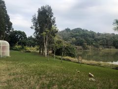 -福建鲤鱼洲酒店