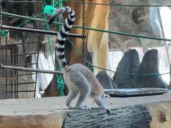 -鄂尔多斯野生动物园