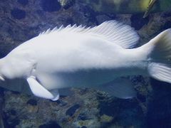 -福州罗源湾海洋世界旅游区