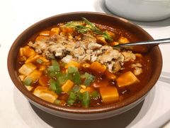 红烧黄河鲤鱼焖嫩豆腐-潮上潮(南中环店)