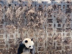 -沈阳森林动物园