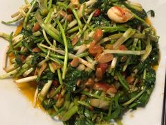 -滇铺子·云南特色菜·第九届野生菌美食节(东风东路c86店)