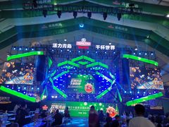 -第35届青岛国际啤酒节