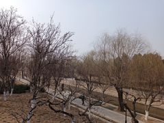 -元大都城垣遗址公园