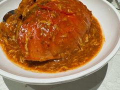 获奖新加坡辣椒青蟹-珍宝海鲜JUMBO Seafood(尚嘉店)