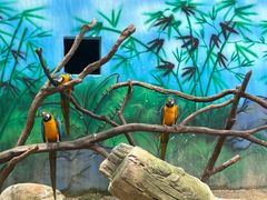 -杭州野生动物世界