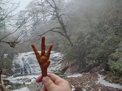 -龙苍沟森林公园