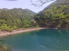-芦茨金富饭庄·25年老字号·专做稻草鸡