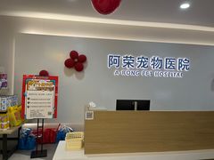 -阿荣24H宠物医院·综合型转诊中心·CT·核磁影像中心
