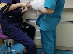 -仁华宠物医院(青羊店)