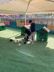 -萌宠亲子动物乐园(槐房万达店)