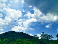 -天鹿湖森林公园