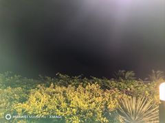 -渔家火锅·海鲜自助餐·演艺(亚龙湾天域酒店)