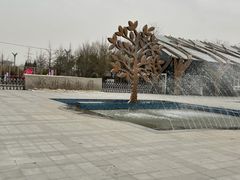 -郑州植物园