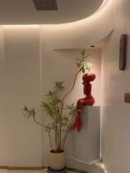 -WENDY·温迪皮肤管理