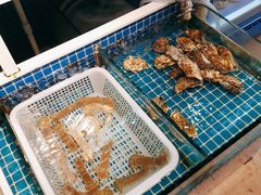 水产区-金龙·打边炉(南京西路店)