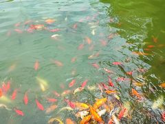 -天河潭旅游度假区