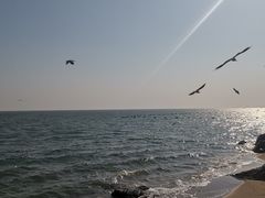 -老虎石海上公园