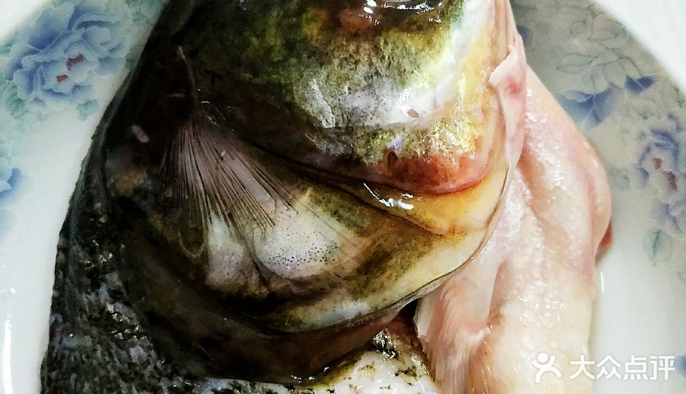 无油新鲜鱼头煲一煲，配面刚刚好