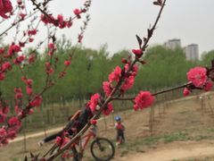 -兴安湖生态运动公园