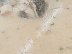 -87号烧烤海鲜·大排档(金沙滩店)