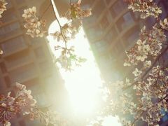 -西北湖绿化广场