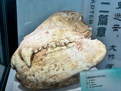 -湖南省地质博物馆