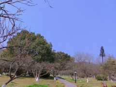 -白马涧龙池景区
