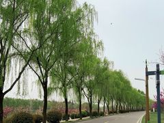 -洨河生态公园