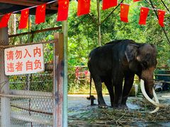 -西双版纳傣族园