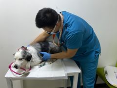 -美联众合动物医院·24h转诊中心