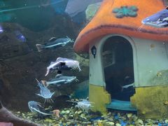 -梦幻海洋王国(吾悦广场张家港店)