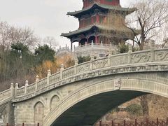-迎泽公园