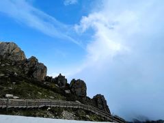 -白草畔自然风景区