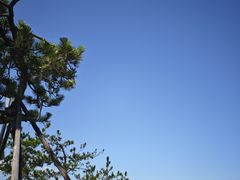 -小麦岛公园