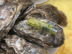 -蚝专家(北滘店)
