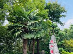 -阅江楼风景区