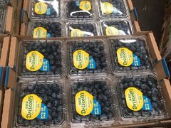 蓝莓-上海龙吴水胜海发市场