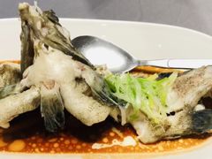 清蒸红斑鱼-徐记海鲜(大明宫|北二环店)