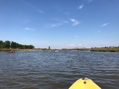 -春花秋色城市公园