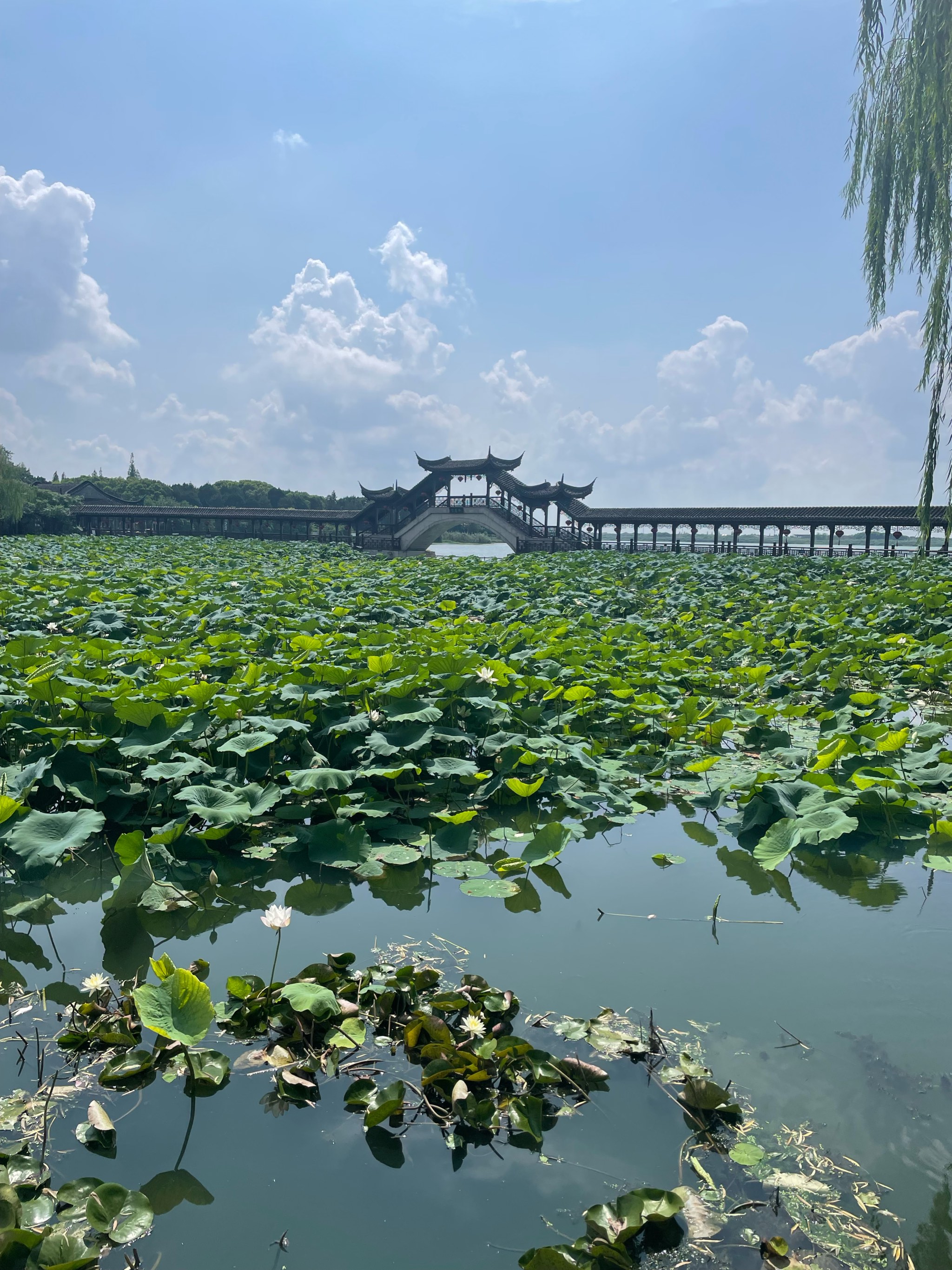 锦溪八大景点图片