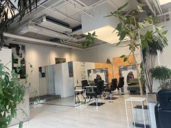 -Hair  Gallery
