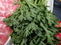 -川西坝子火锅(清江东路3.0直营店)