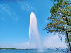 景点-斯大林公园