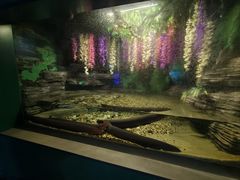 -常州海昌海洋探索馆