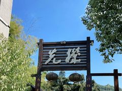 -先机泉水鸡汤(南山老君洞店)