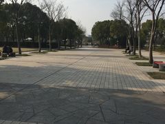 -新江湾城公园
