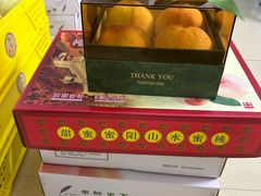 -老袁家蜜桃农场·阳山水蜜桃