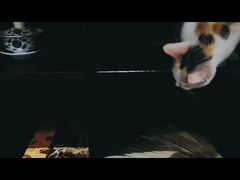 -行人小筑·茶馆(岑村火炉山分店)