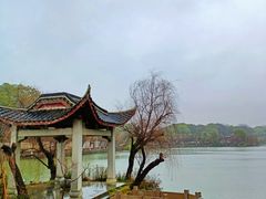 -八大山人梅湖景区